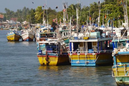 Fishing boats of Negombo