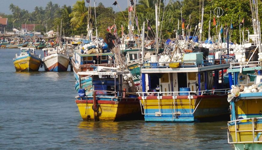 Fishing boats of Negombo