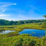 Random location near Miriswatte Negombo