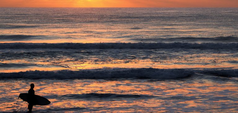 A surfer wandering during the sunset