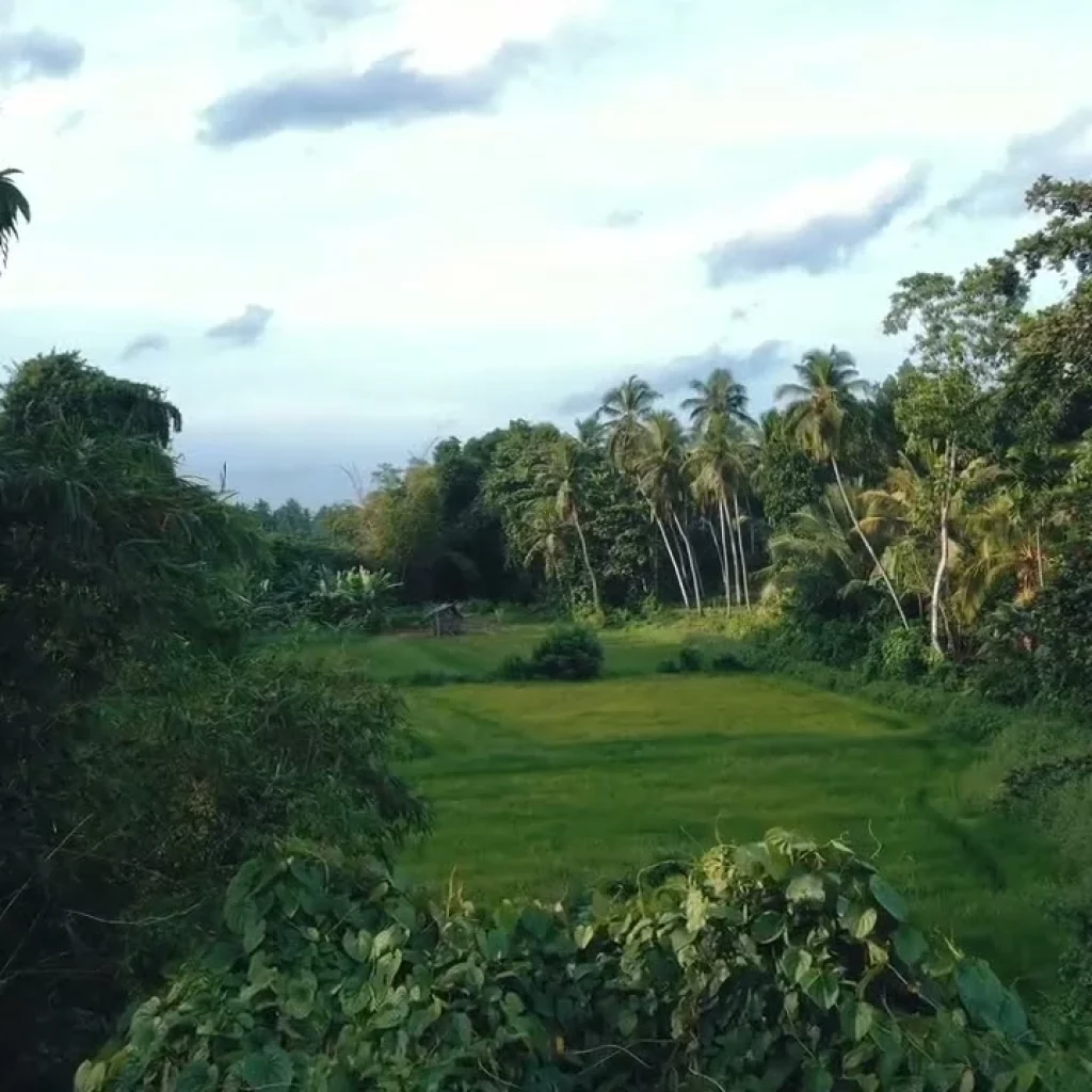 Video Image of the surrounding around Ceylon Lodge