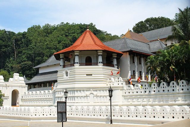 The Temple of the Scared Tooth Relic