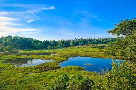 Random location near Miriswatte Negombo