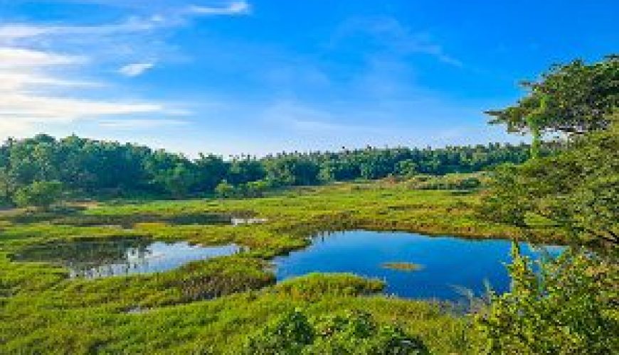 Random location near Miriswatte Negombo